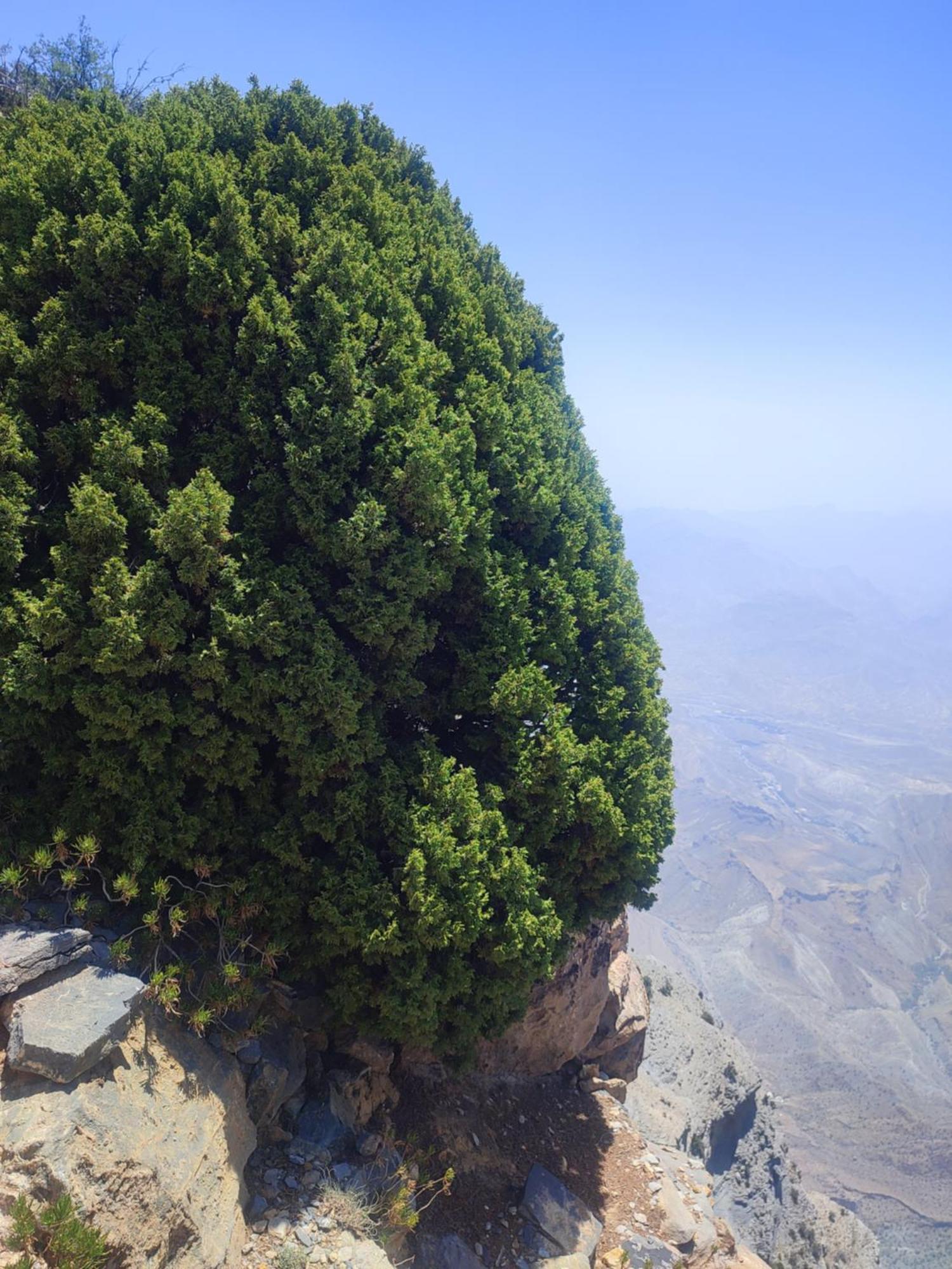 Stone Rest House Jebel Shams Al Ḩamrāʼ Zewnętrze zdjęcie